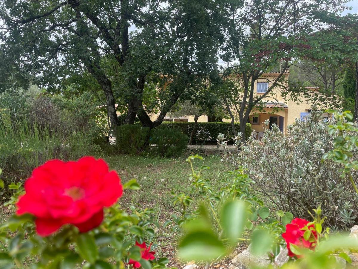 La Maison De La Cigale Forcalqueiret Ngoại thất bức ảnh